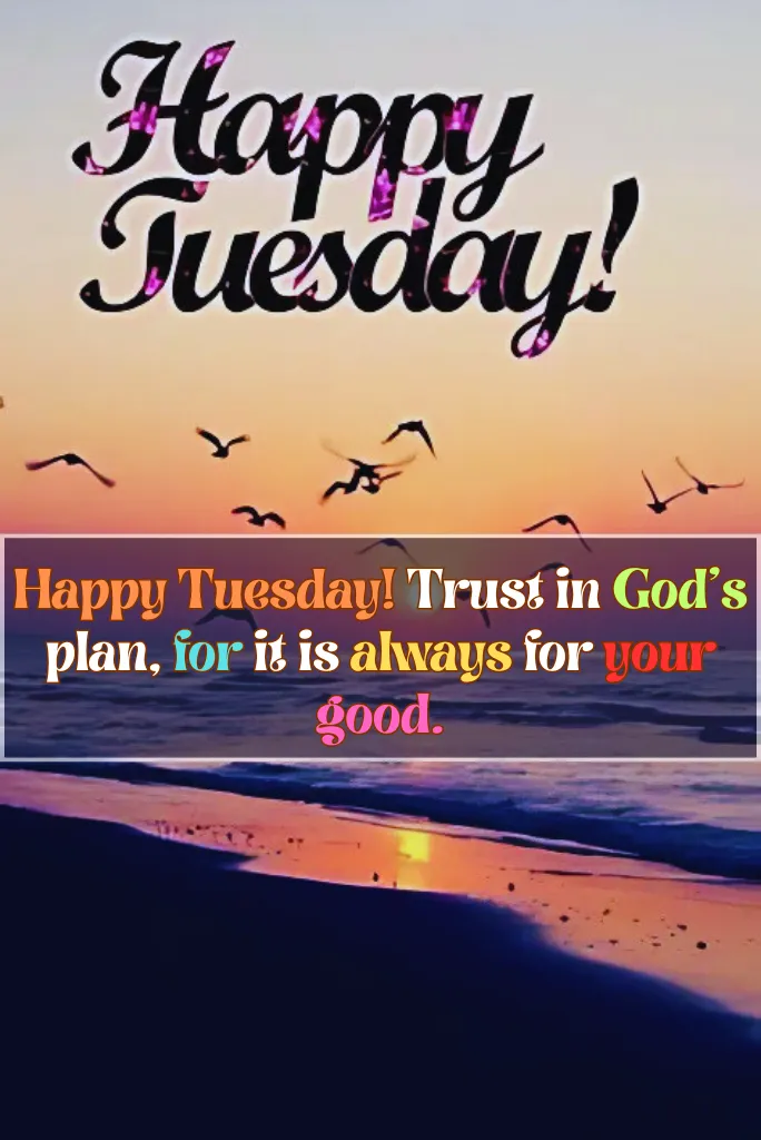 Good Morning Happy Tuesday Blessings