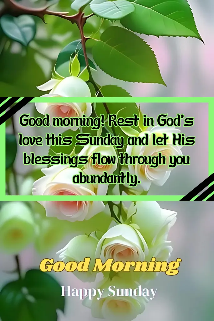 Good Morning Sunday Blessings